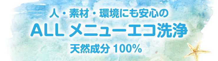 外。素材・環境にも安心のALLメニューエコ洗浄 天然成分100%
