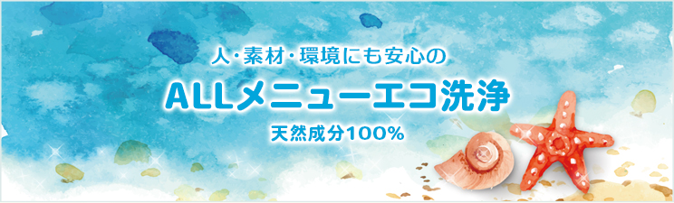 外。素材・環境にも安心のALLメニューエコ洗浄 天然成分100%